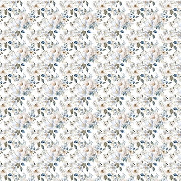 Filicita