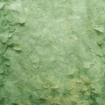 Filicita