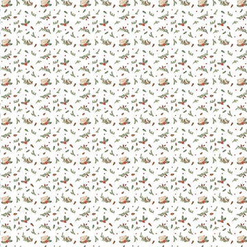 Felicita Design karton Ark 12'x12' 200g 2 sidet