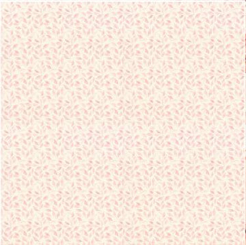design karton