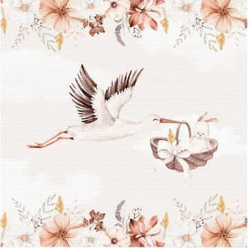 Design karton