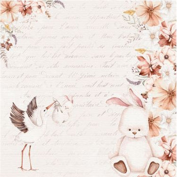 Design karton