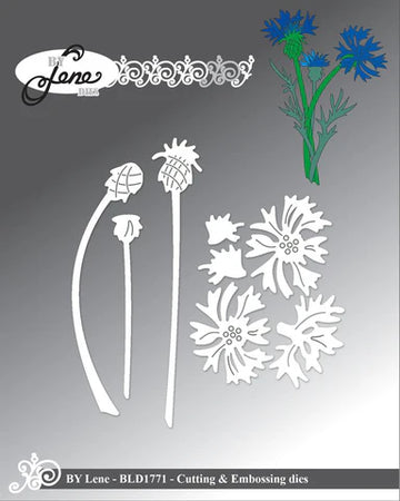 Kornblomst
