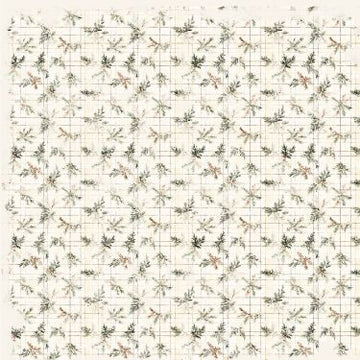 Design karton