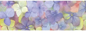 Pergamano Vellum Hortensia