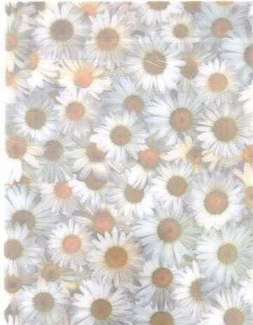 Pergamano vellum marguerit 5719